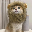 Cute Lion Mane Wig Hat for Small Dogs and Cats Decor