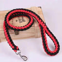 Nylon Dog Harness Leash for Medium Large Dogs Walking Hiking