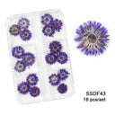 12/18Pcs/box 3D Dried Flowers Nail Art Decorations Dry Floral Bloom Stickers DIY Manicure Charms Designs For Nails Accessories  ourlum.com SSDF43  