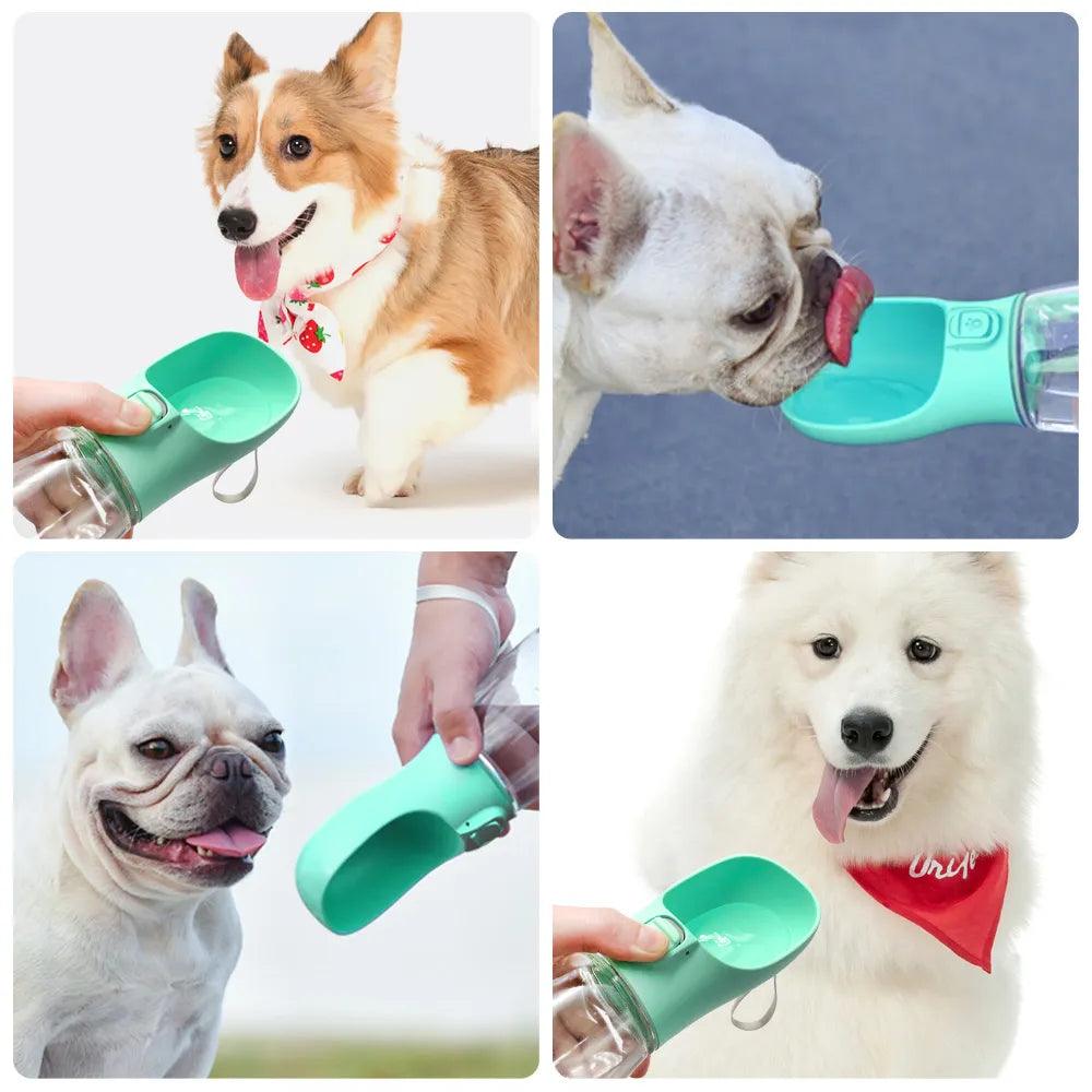 On-the-Go Pet Water Bottle for Dogs and Cats - Portable Leakproof Outdoor Drinking Bowl for Chihuahua French Bulldog Owners  ourlum.com   