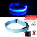 LED Dog Collar Light: High Visibility Anti-lost Night Safety Pet Accessory  ourlum.com Blue Battery XS 