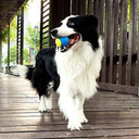 Bite-Resistant Beef-Flavored Rubber Ball for Dog Training