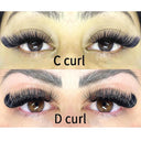 YY Y-Shaped Volume Eyelash Extensions Dramatic Eyes Bundle