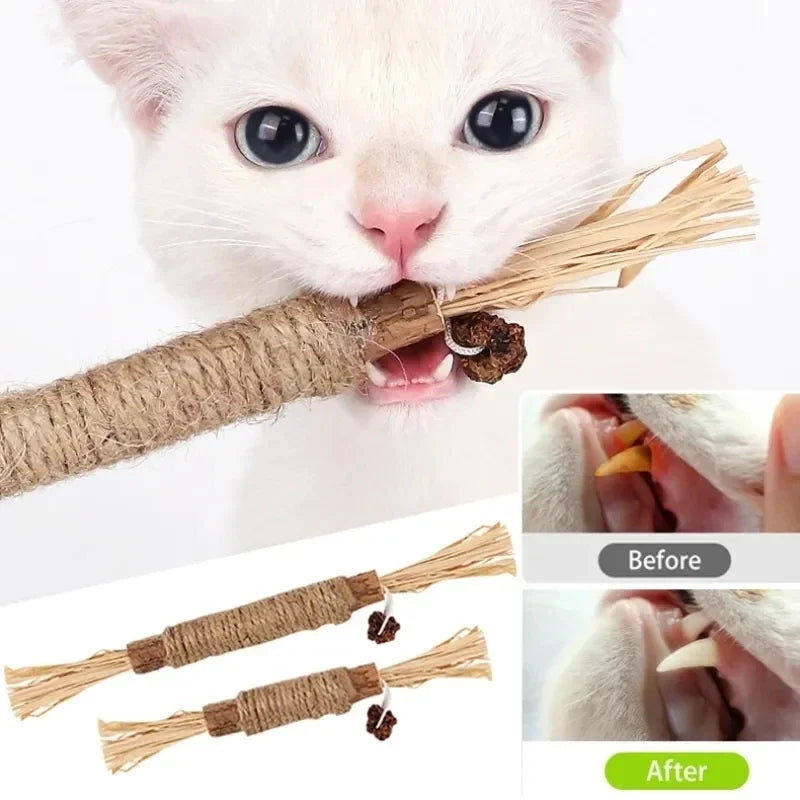 Catnip Chew Stick Toy for Cats - Organic Snack for Teeth Cleaning & Play Time  ourlum   