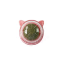 Catnip Wall Ball Cat Toy for Cats Clean Mouth Entertain Kittens