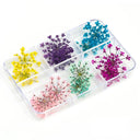 12/18Pcs/box 3D Dried Flowers Nail Art Decorations Dry Floral Bloom Stickers DIY Manicure Charms Designs For Nails Accessories  ourlum.com   