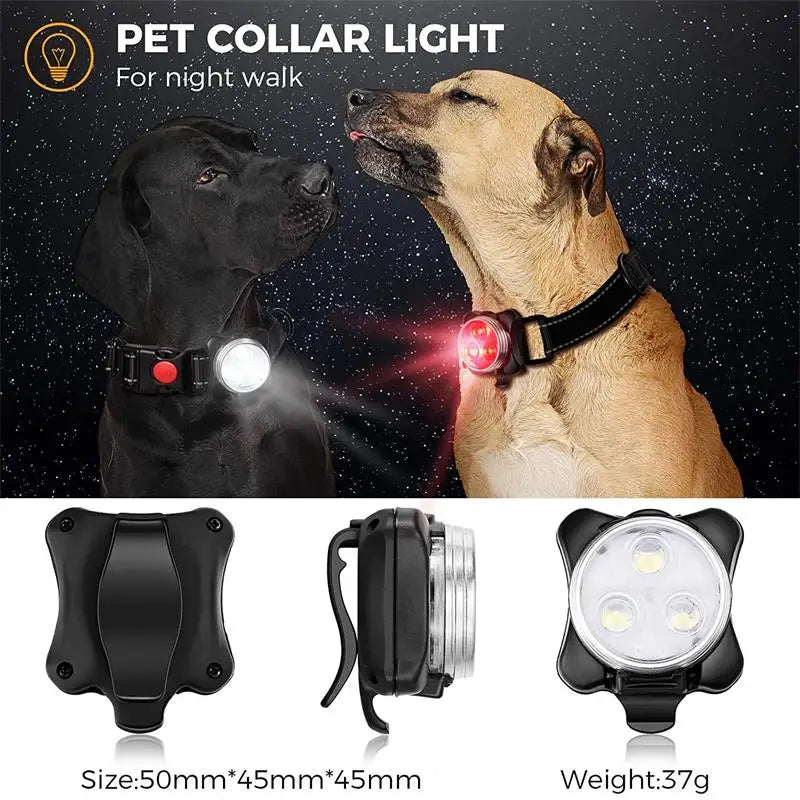 Pet Safety LED Light: USB Rechargeable Outdoor Night Dog Accessories  ourlum.com   