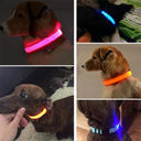 Illuminated Dog Collars: Enhanced Pet Safety & Visibility Solution  ourlum.com   