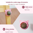 Catnip Wall Ball Cat Toy for Cats Clean Mouth Entertain Kittens