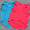 Security Vest for Small Dogs and Cats: Cool Summer Clothing with Various Colors  ourlum.com   