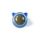 Catnip Wall Ball Cat Toy for Cats Clean Mouth Entertain Kittens