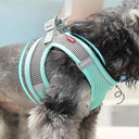 Reflective Breathable Dog Harness Vest for Outdoor Walking  ourlum   