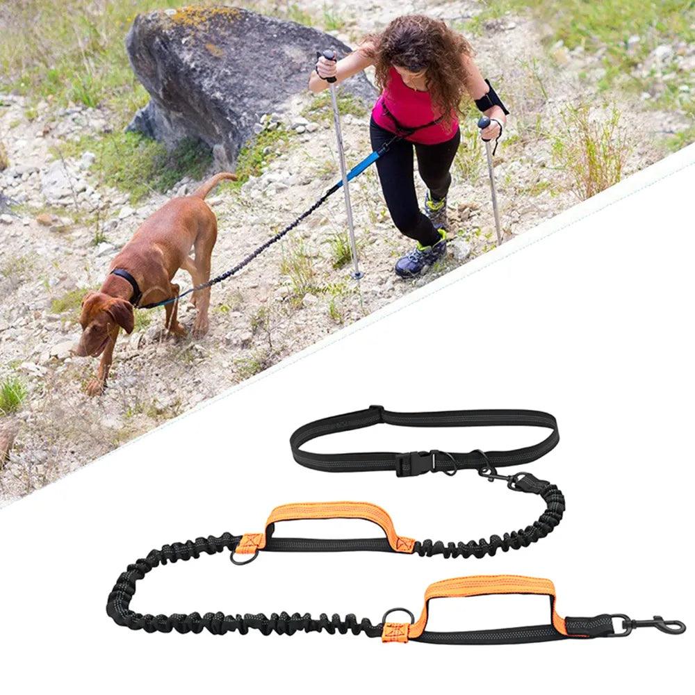 Retractable Hands-Free Running Dog Leash with Reflective Elastic Cord  ourlum.com   