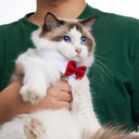 Adjustable Pet Bow Tie for Small Dogs and Cats Grooming Accessory