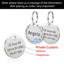 Personalized Stainless Steel Pet ID Tag for Dogs and Cats  ourlum.com T  