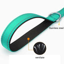 Reflective Night Dog Leash: Enhance Visibility and Safety  ourlum.com   