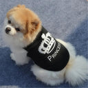 Security Vest for Small Dogs and Cats: Cool Summer Clothing with Various Colors  ourlum.com   