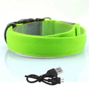 LED Glow Safety Dog Collar: Adjustable Flashing Necklace for Dogs and Cats  ourlum.com Green USB charging XS Neck 28-38cm 