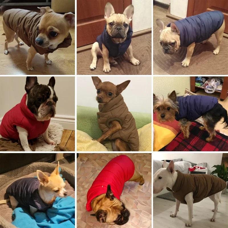 Warm Fleece Dog Coat for Small to Large Breeds: Stylish Winter Pet Vest  ourlum.com   