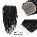 Kinky Curly Brazilian Remy Hair Weave And Lace Closure Set