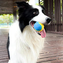 Interactive Squeaky Dog Ball Toy for Teeth Cleaning Fun