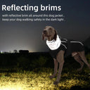 Cozy Luxury Winter Jacket for Dogs: Waterproof, Padded, Warm & Reflective  ourlum.com   