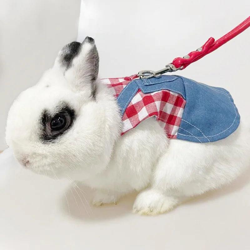 Cute Bunny Outdoor Harness & Leash Set for Rabbit Dress  ourlum.com   