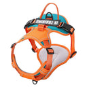 Adjustable Nylon Dog Harness with Reflective Vest: Comfortable & Secure Fit  ourlum.com 02 XL 