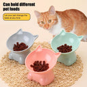 Large Capacity Cartoon Cat Shape Pet Feeder Cute Design