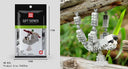 Wisehawk Diamond Mini Building Blocks - 3D Animal Collection for Creative Play  ourlum.com B20  