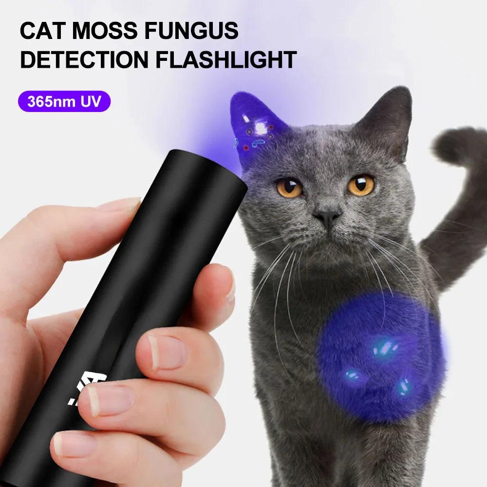 UV Pet Stain Detector & Mold Finder Flashlight: Small, Versatile, Rechargeable  ourlum.com   