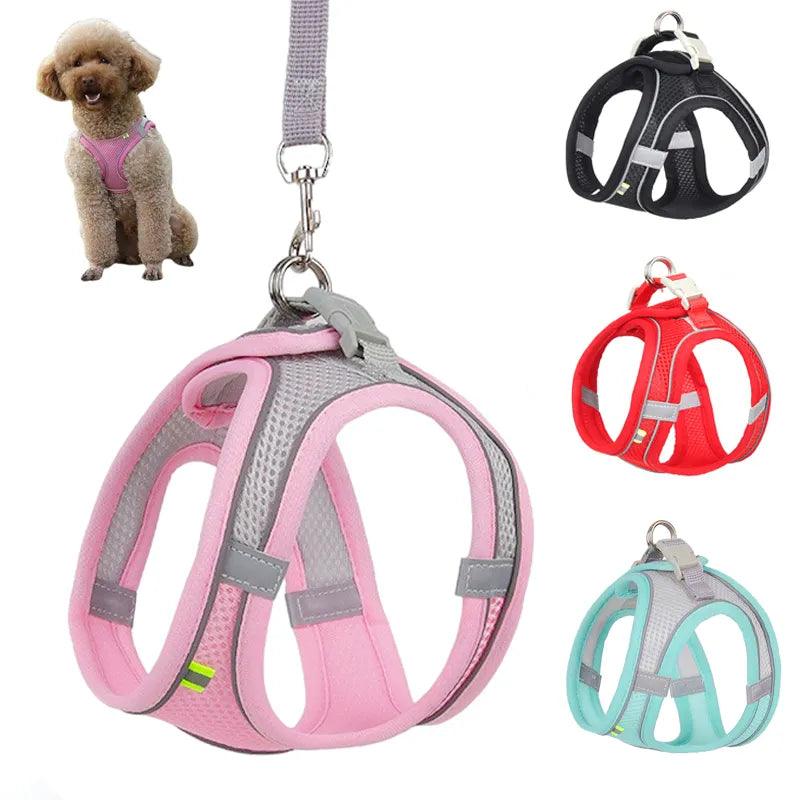 Adjustable Dog Harness and Leash Set for Small Breeds - Reflective Puppy Cat Vest for French Bulldog Chihuahua Pug - Ideal for Outdoor Walking  ourlum.com   