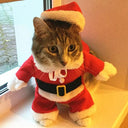 Funny Santa Cat Costumes: Cute Christmas Pet Outfits  ourlum.com   