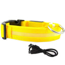 Illuminated Dog Collars: Enhanced Pet Safety & Visibility Solution  ourlum.com Yellow usb charging XS neck 28-40cm 