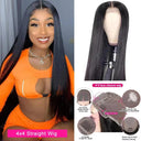 Premium Brazilian Human Hair Straight Wig with HD Lace