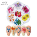 12/18Pcs/box 3D Dried Flowers Nail Art Decorations Dry Floral Bloom Stickers DIY Manicure Charms Designs For Nails Accessories  ourlum.com HD05  