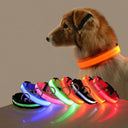 Glowing Nylon LED Dog Leash and Collar Set for Night Safety  ourlum.com   