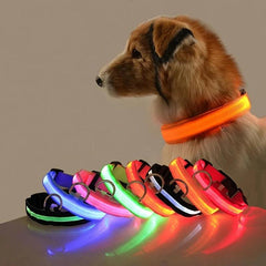 Glowing Nylon LED Dog Leash and Collar Set for Night Safety