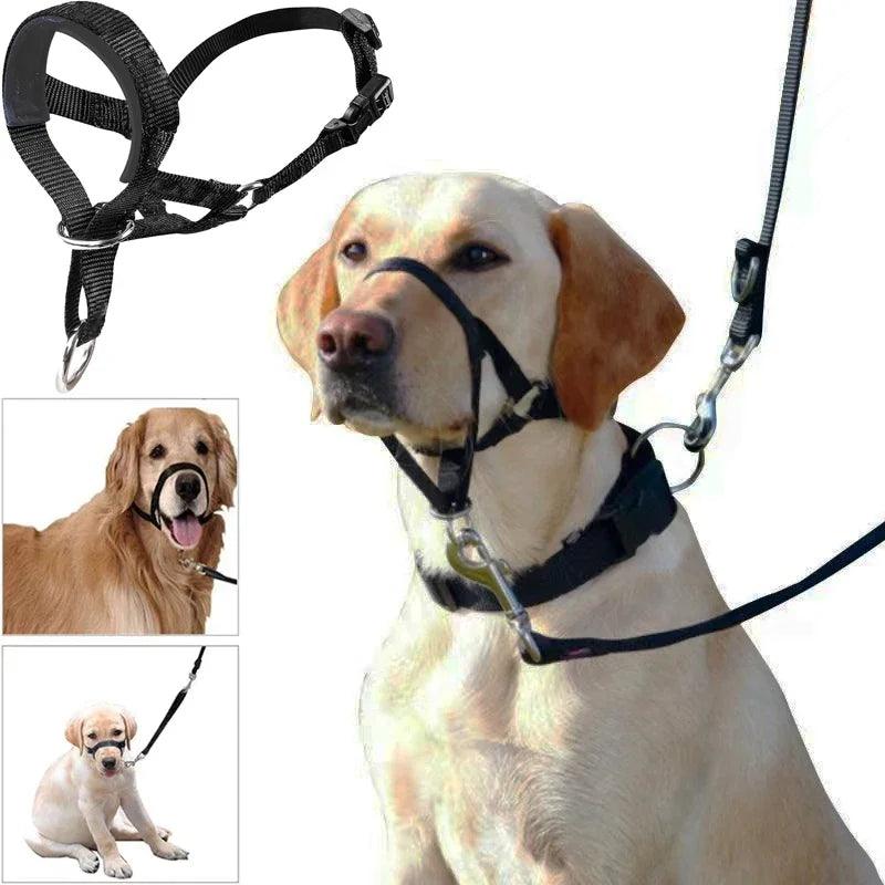 Nylon Anti-bark Dog Muzzle & Training Harness Set  ourlum.com   