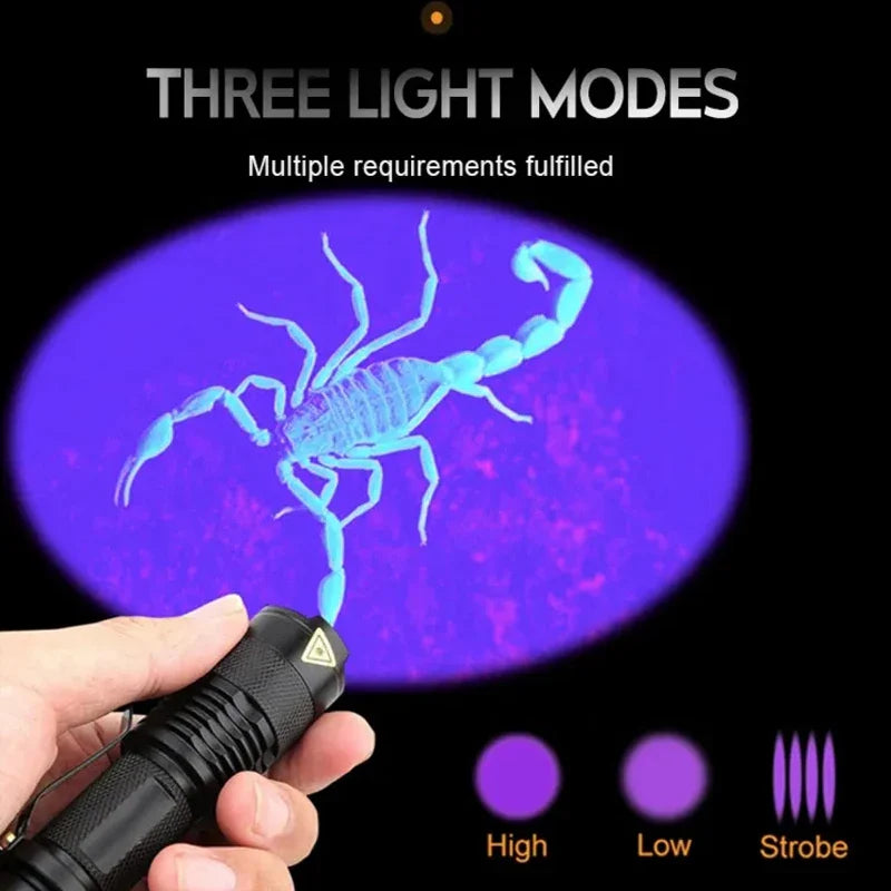 LED UV Flashlight: Portable Mini Ultraviolet Torch for Pet Urine Detection  ourlum.com   