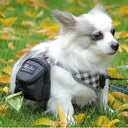 Dog Training Treat Bag: Outdoor Pouch for Puppy Snacks