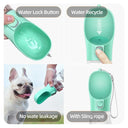 Portable Pet Water Bottle for Chihuahua and French Bulldog Owners