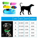 LED Dog Collar Light: High Visibility Anti-lost Night Safety Pet Accessory  ourlum.com   