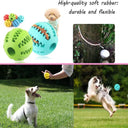 Dog Toy Ball Interactive Rubber Balls for Chewing Fun