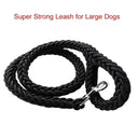 Nylon Dog Harness Leash for Medium Large Dogs Walking Hiking