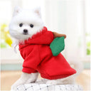 Cute Fruit Dog Clothes for Small Dogs Warm Hoodies Fleece