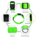 LED Light Up Dog Collar: Customizable Night Safety, Waterproof, Multiple Flash Modes  ourlum.com   