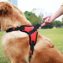 Reflective Dog Harness for Walking Training Control Gear