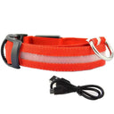 Illuminated Dog Collars: Enhanced Pet Safety & Visibility Solution  ourlum.com Red usb charging XS neck 28-40cm 