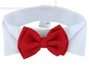 Adjustable Pet Bow Tie for Small Dogs and Cats - Grooming Accessory  ourlum.com Double bow tie S 